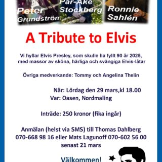 A Tribute to Elvis