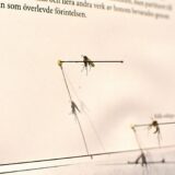 Insekter i litteratur och konst
