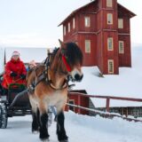 Julmarknad Olofsfors Bruk
