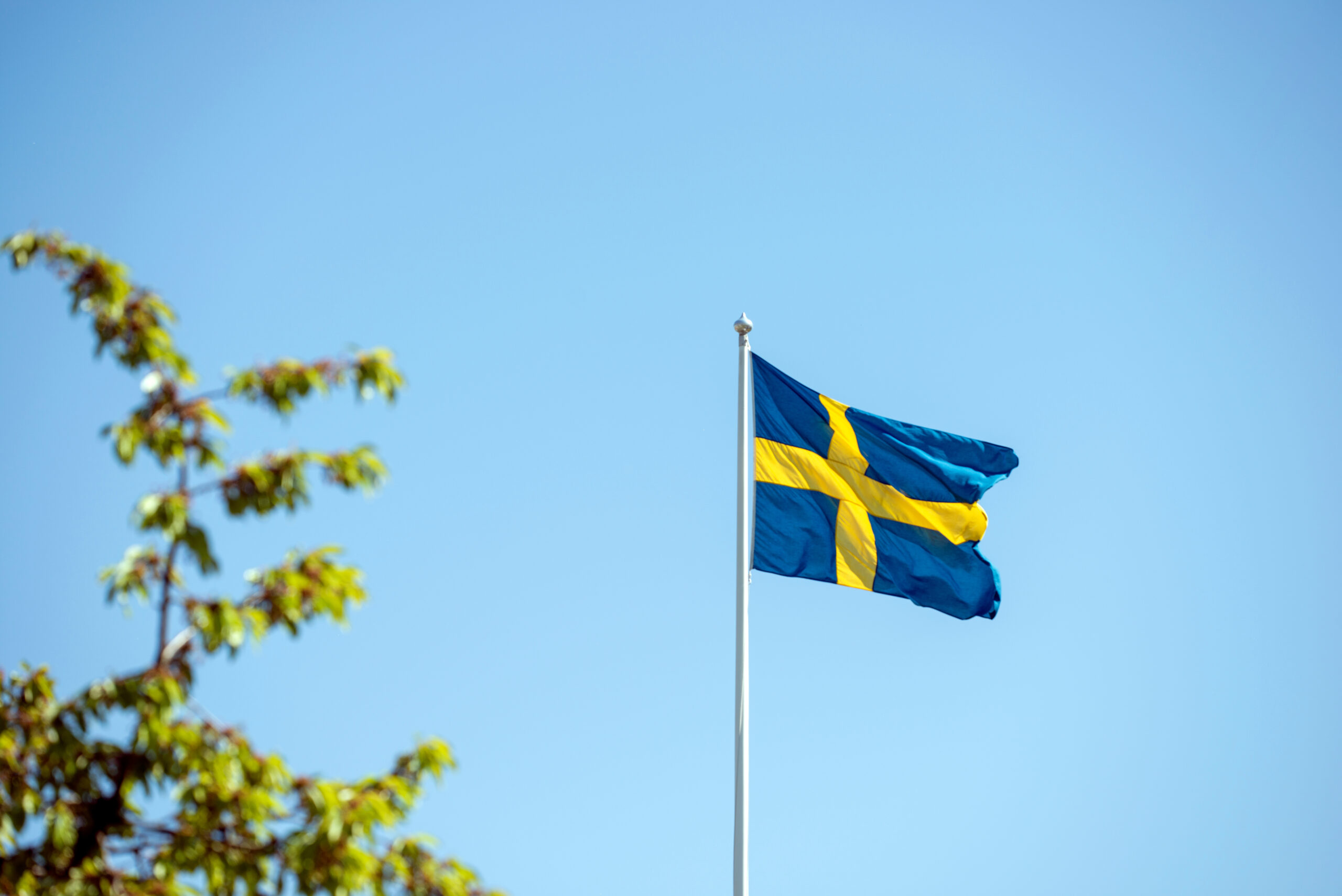 ☀ Nationaldagsfirandet 2026 ☀